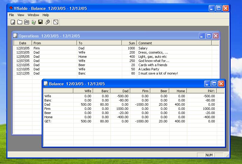 Click to view VISaldo 1.1 screenshot