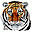 FileTiger icon