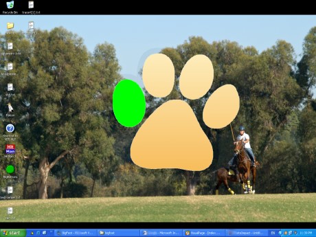 Click to view BigFoot - ThE PaW 1.0 screenshot