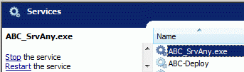 Click to view ABC_SrvAny 5.0.3 screenshot