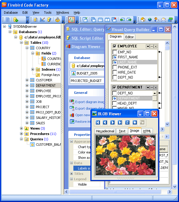 Click to view Firebird Code Factory 13.9 screenshot