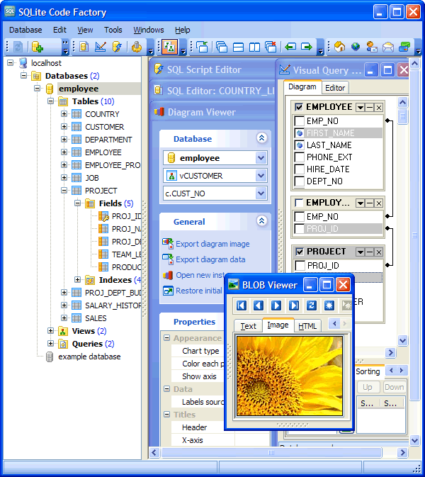 Click to view SQLite Code Factory 13.9 screenshot