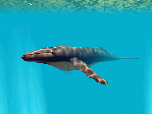 Click to view Deep Sea World 3D Screensaver 1.0.3 screenshot