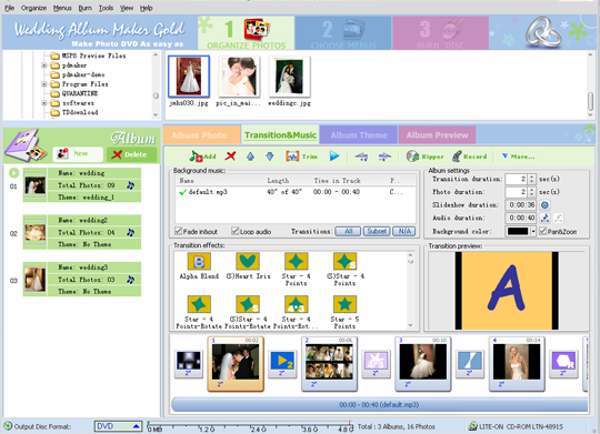 Click to view Wedding Album Maker Gold 3.53 screenshot