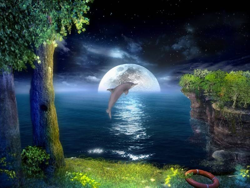 Click to view 3D Jumping Dolphins Screensaver 1.0 screenshot