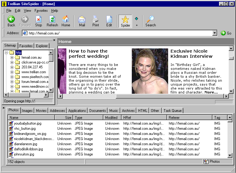 Click to view Trellian SiteSpider 1.00.004 screenshot